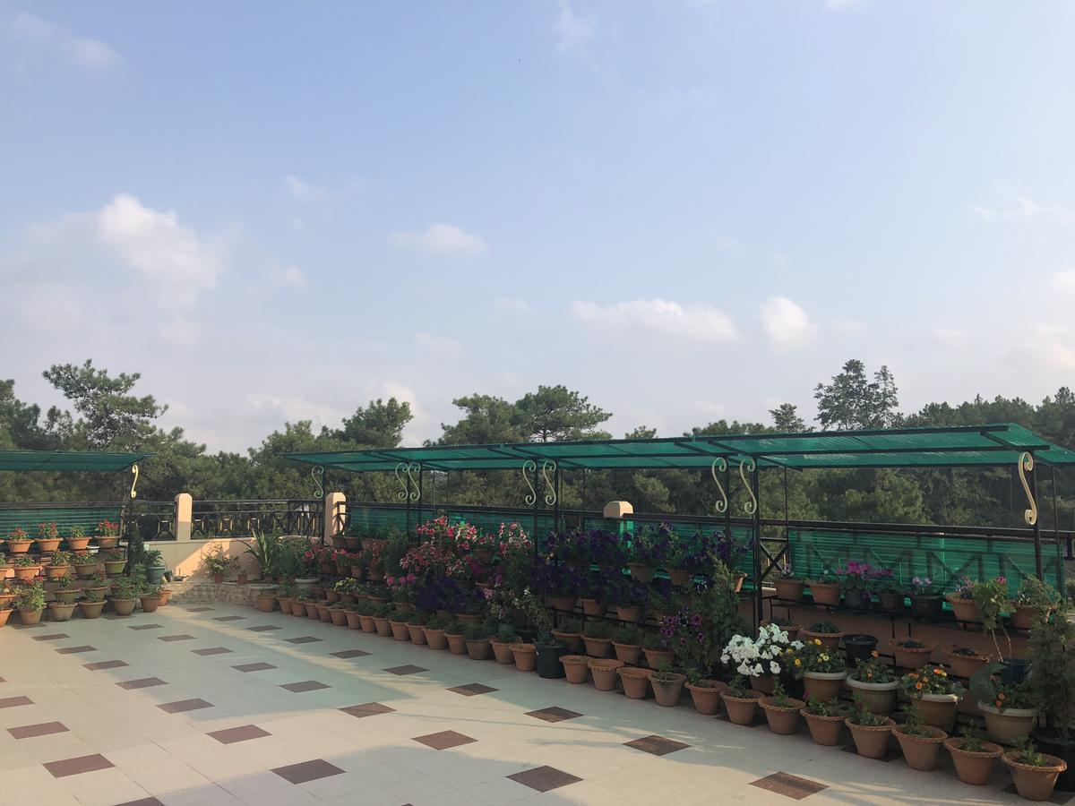 Orange Homestay Shillong Ngoại thất bức ảnh